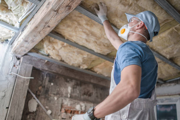 Best Professional Insulation Contractor  in Hurlburt Field, FL