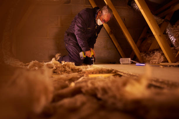 Best Insulation Removal  in Hurlburt Field, FL